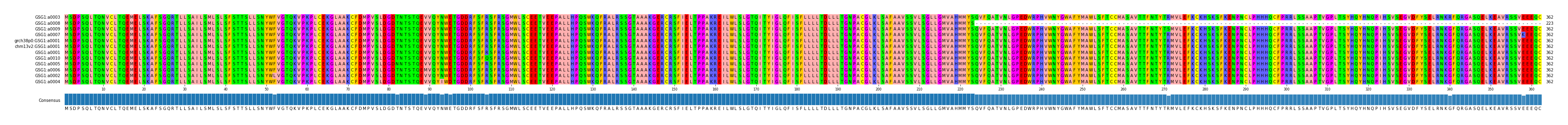 Multiple Alignments (by translate haplotype similarity)