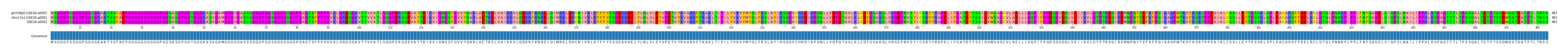 Multiple Alignments (by translate haplotype similarity)