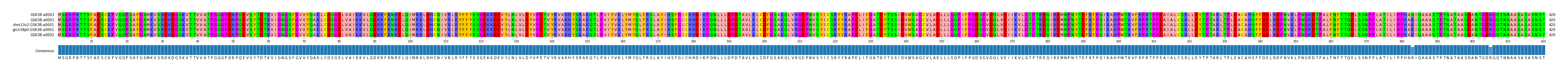 Multiple Alignments (by translate haplotype similarity)