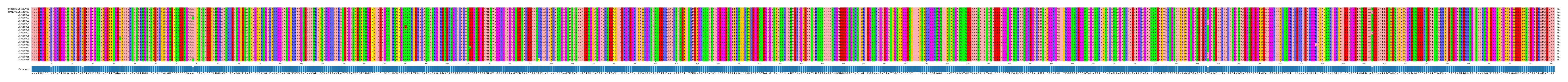 Multiple Alignments (by translate haplotype frequency)