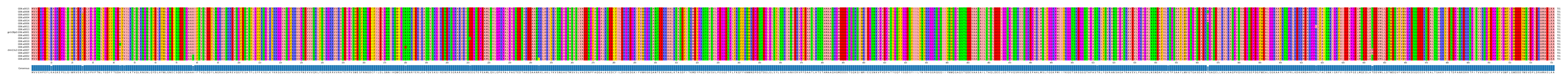 Multiple Alignments (by translate haplotype similarity)