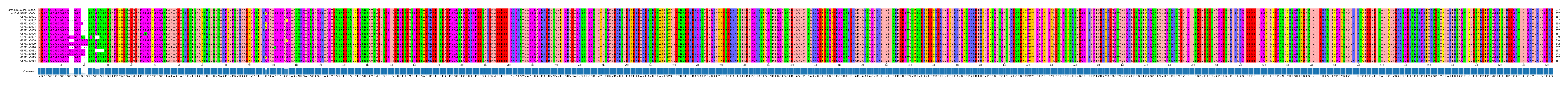 Multiple Alignments (by translate haplotype frequency)