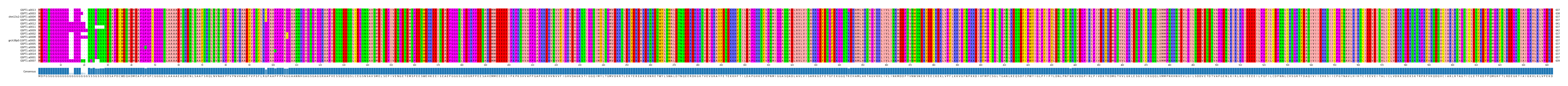 Multiple Alignments (by translate haplotype similarity)