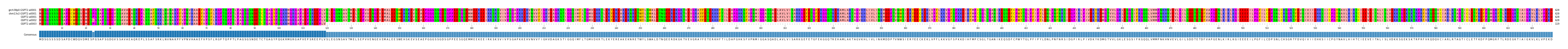 Multiple Alignments (by translate haplotype frequency)