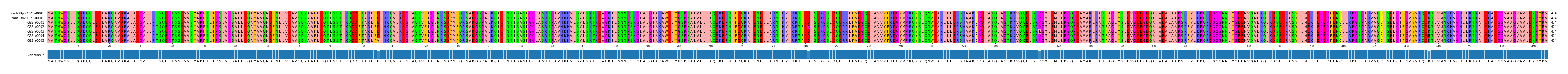 Multiple Alignments (by translate haplotype frequency)