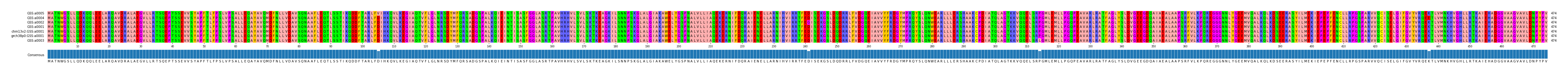 Multiple Alignments (by translate haplotype similarity)