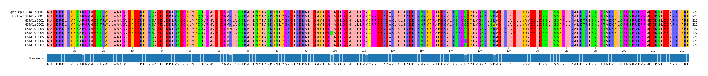 Multiple Alignments (by translate haplotype frequency)