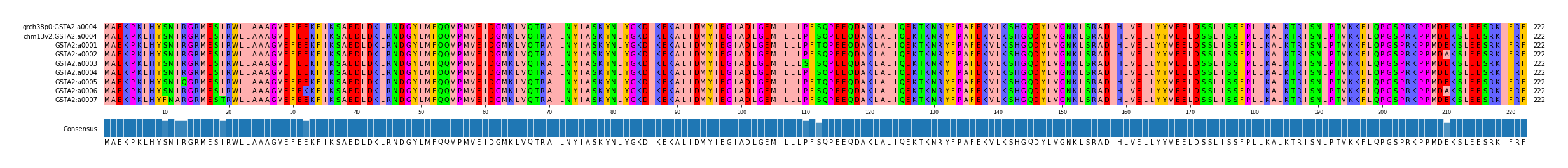 Multiple Alignments (by translate haplotype frequency)
