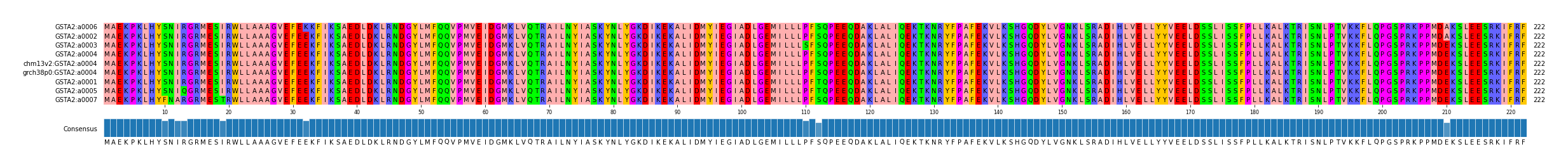 Multiple Alignments (by translate haplotype similarity)