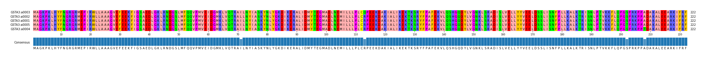 Multiple Alignments (by translate haplotype similarity)