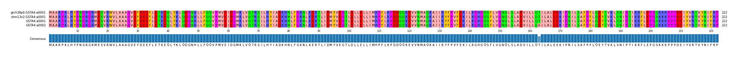 Multiple Alignments (by translate haplotype similarity)