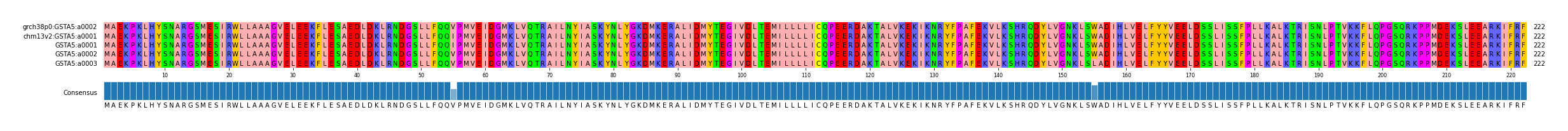 Multiple Alignments (by translate haplotype frequency)