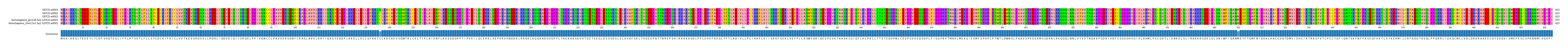 Multiple Alignments (by translate haplotype similarity)