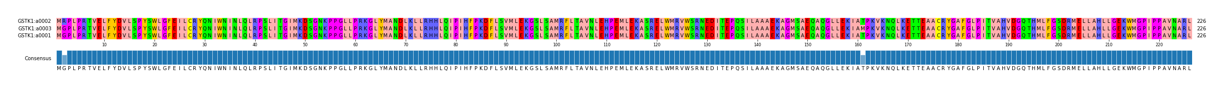 Multiple Alignments (by translate haplotype similarity)