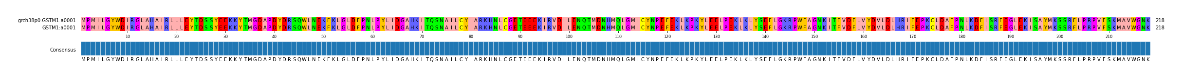 Multiple Alignments (by translate haplotype similarity)