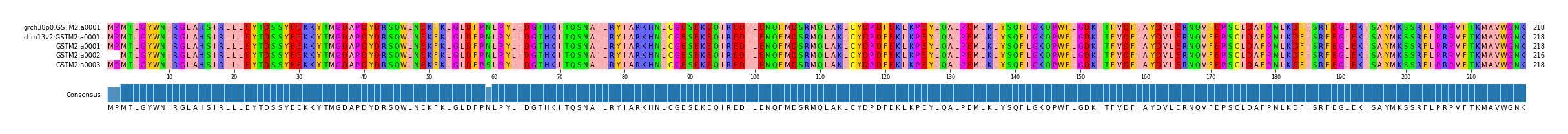 Multiple Alignments (by translate haplotype frequency)