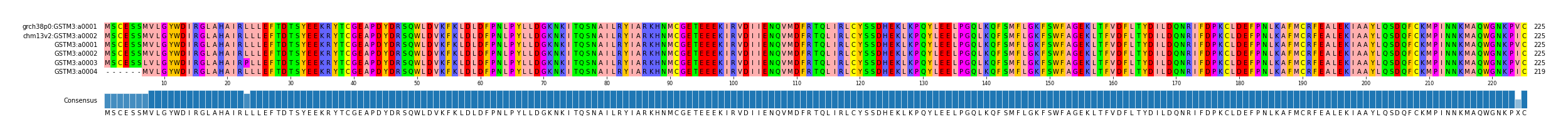 Multiple Alignments (by translate haplotype frequency)