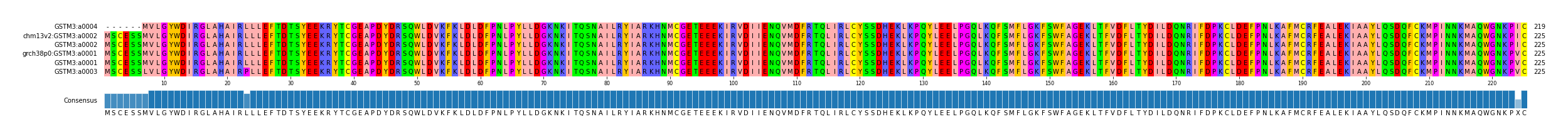 Multiple Alignments (by translate haplotype similarity)