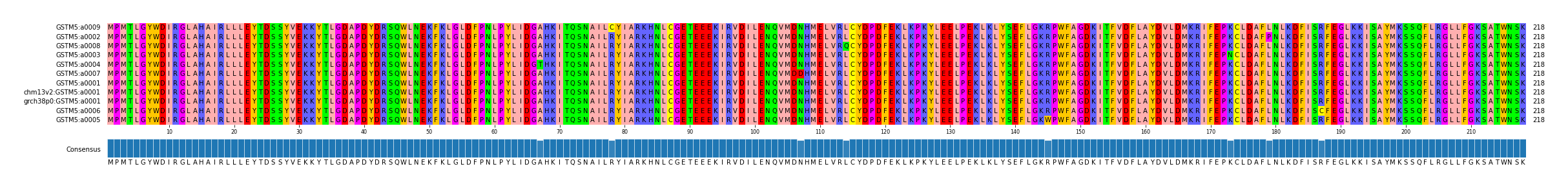 Multiple Alignments (by translate haplotype similarity)