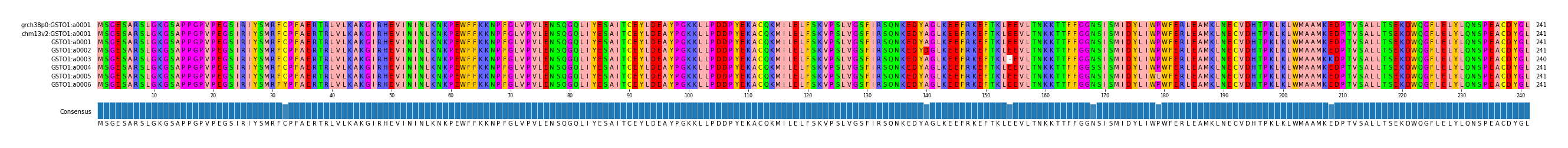 Multiple Alignments (by translate haplotype frequency)