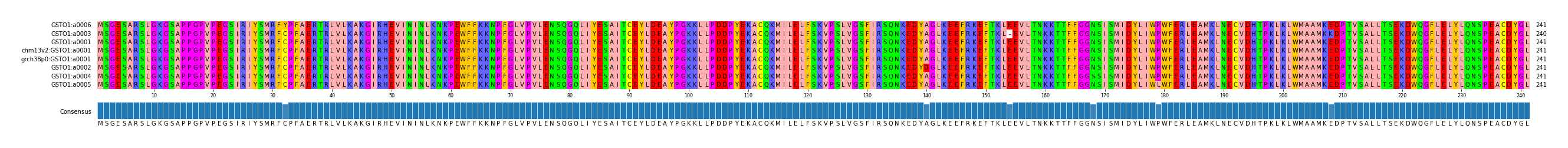Multiple Alignments (by translate haplotype similarity)