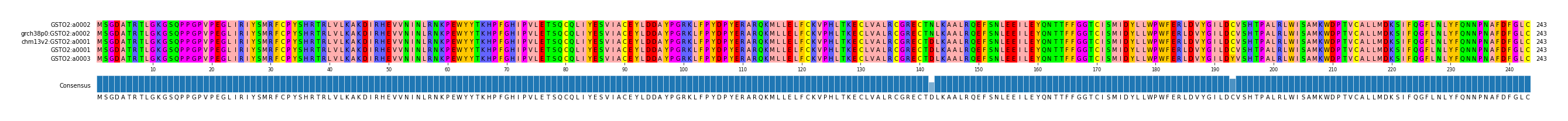 Multiple Alignments (by translate haplotype similarity)