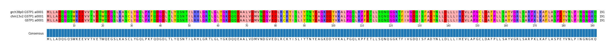 Multiple Alignments (by translate haplotype similarity)