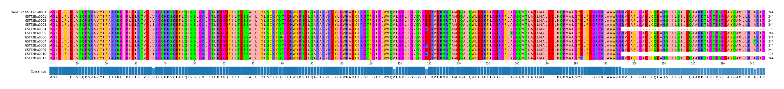 Multiple Alignments (by translate haplotype frequency)