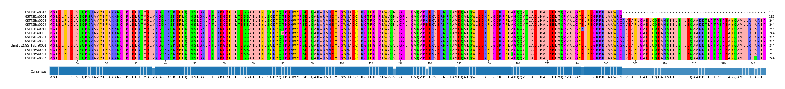Multiple Alignments (by translate haplotype similarity)
