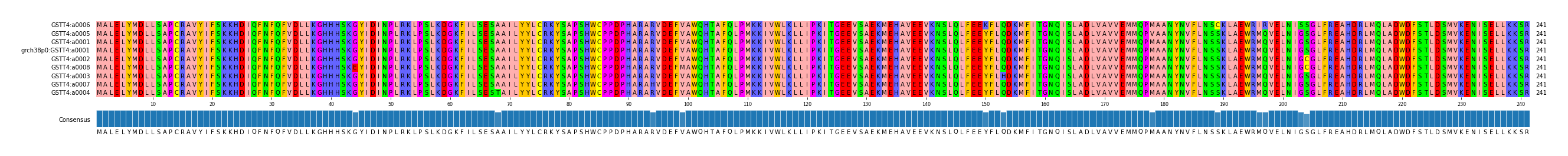 Multiple Alignments (by translate haplotype similarity)