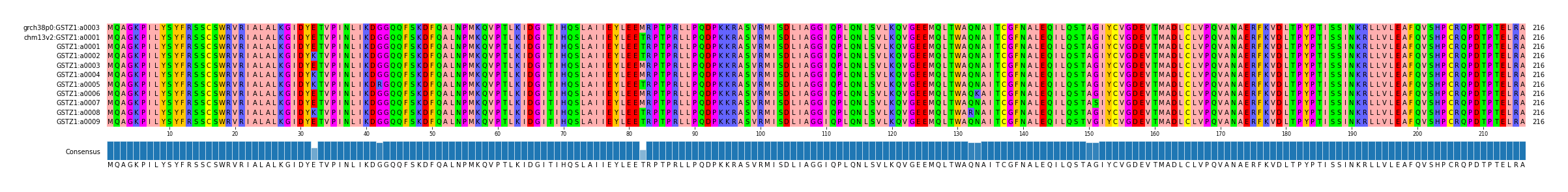 Multiple Alignments (by translate haplotype frequency)