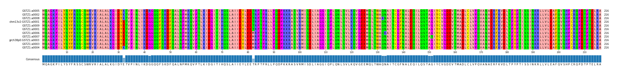 Multiple Alignments (by translate haplotype similarity)