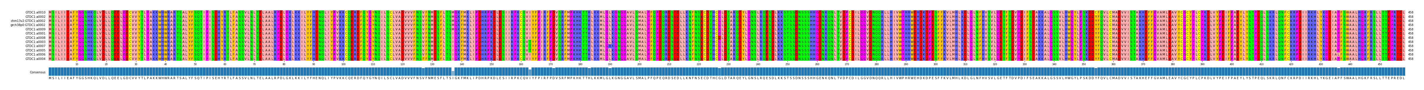 Multiple Alignments (by translate haplotype similarity)