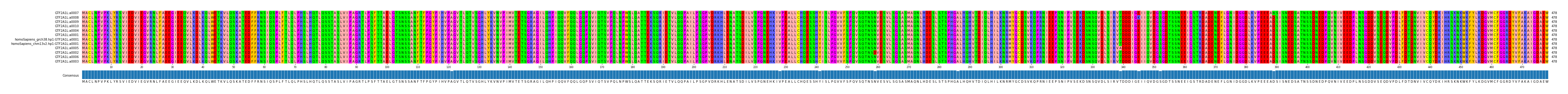 Multiple Alignments (by translate haplotype similarity)
