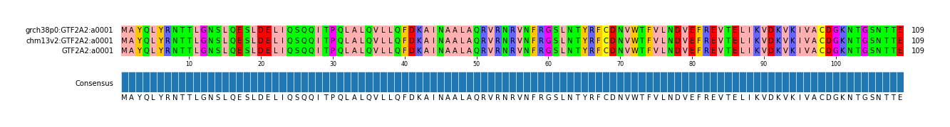 Multiple Alignments (by translate haplotype similarity)