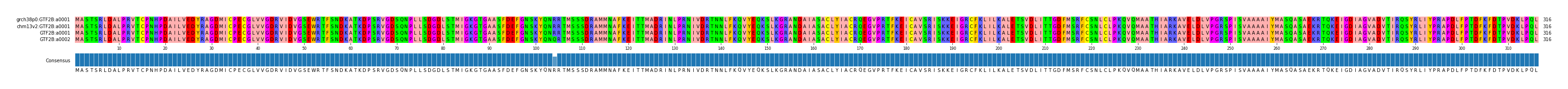 Multiple Alignments (by translate haplotype similarity)