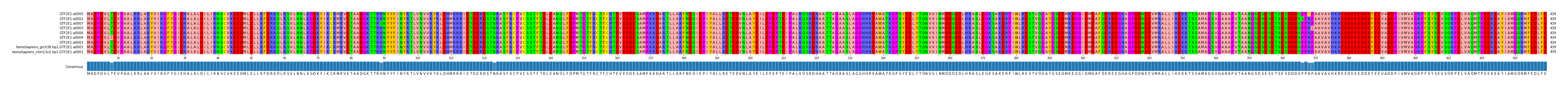 Multiple Alignments (by translate haplotype similarity)