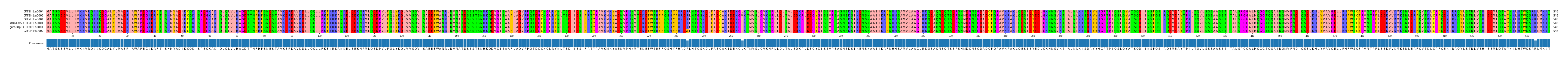 Multiple Alignments (by translate haplotype similarity)