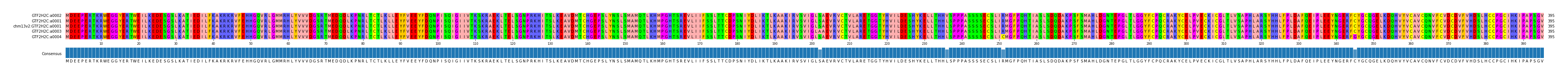 Multiple Alignments (by translate haplotype similarity)