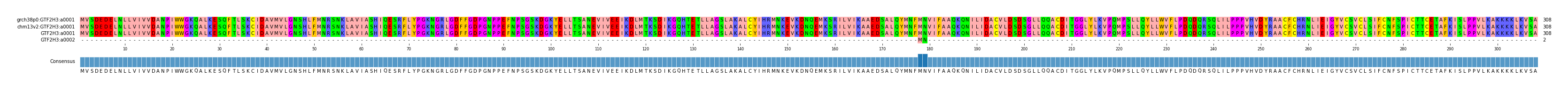 Multiple Alignments (by translate haplotype frequency)