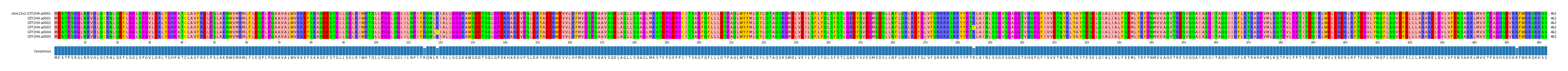 Multiple Alignments (by translate haplotype frequency)
