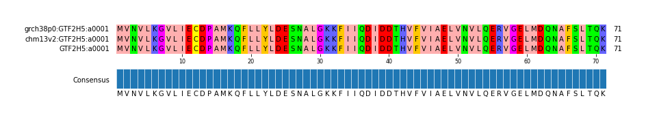 Multiple Alignments (by translate haplotype similarity)