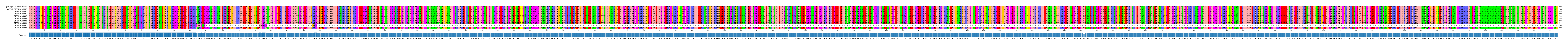Multiple Alignments (by translate haplotype frequency)