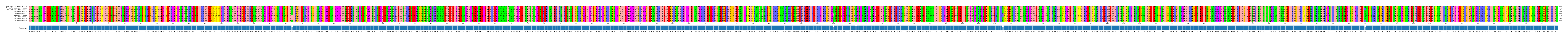 Multiple Alignments (by translate haplotype frequency)