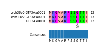 Multiple Alignments (by translate haplotype similarity)