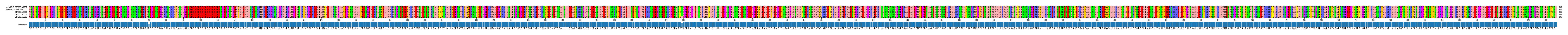 Multiple Alignments (by translate haplotype frequency)