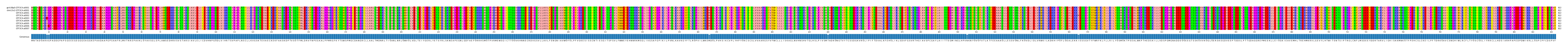 Multiple Alignments (by translate haplotype frequency)