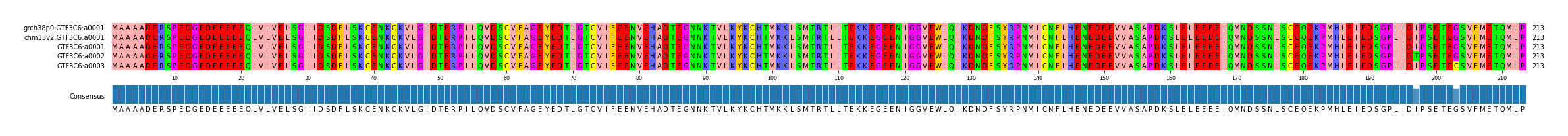 Multiple Alignments (by translate haplotype frequency)