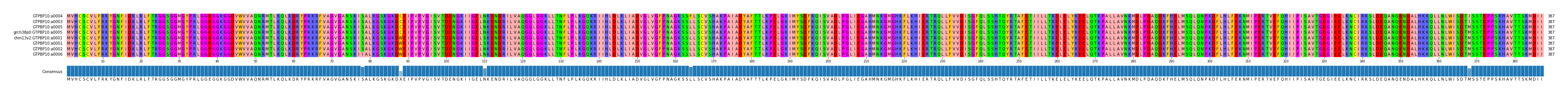 Multiple Alignments (by translate haplotype similarity)