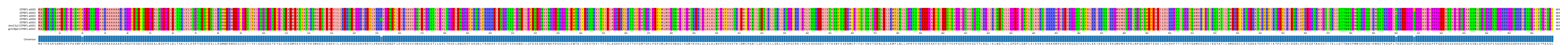 Multiple Alignments (by translate haplotype similarity)